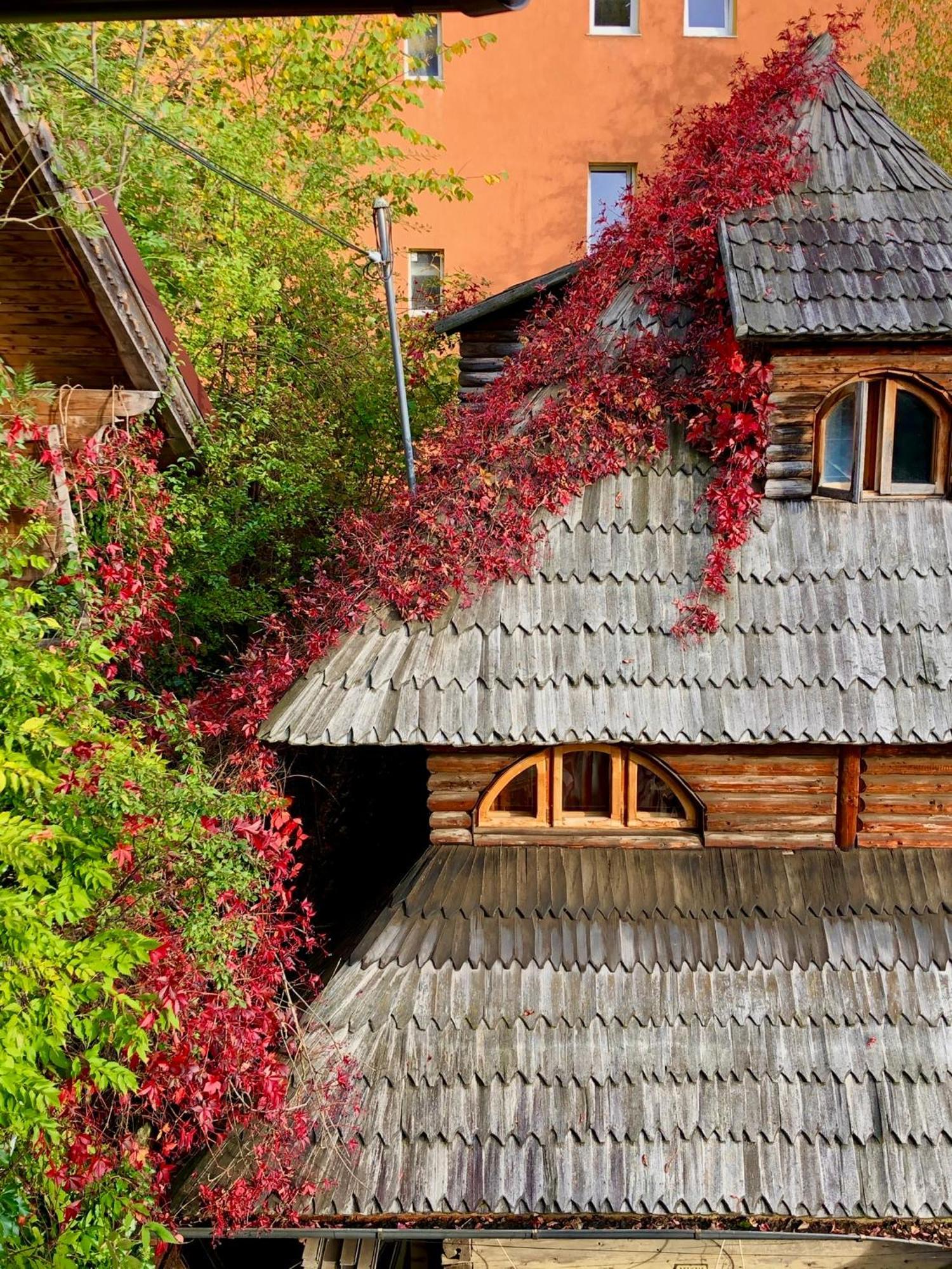 Willa Casa Ieud - Catun Sinaia Zewnętrze zdjęcie