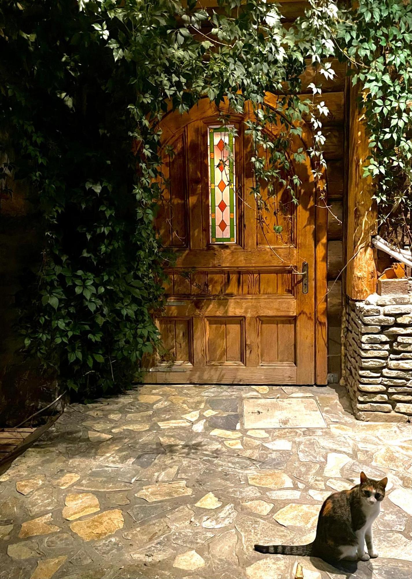 Willa Casa Ieud - Catun Sinaia Zewnętrze zdjęcie